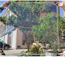 AULLY PARK - Telo protettivo impermeabile trasparente, largo per interni ed esterni, al metro, pieghevole, in PVC, con occhielli, balcone, tenda, protezione solare (dimensioni: 4 x 5 m/13,1 x 16,4 ft)