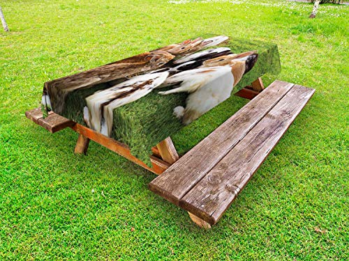 ABAKUHAUS Coniglietto Tovaglia da Esterno, Immagine Reale di Un Gruppo di Alimentazione, Tovaglia da Picnic Lavabile Decorativa, 145 cm x 210 cm, Multicolore