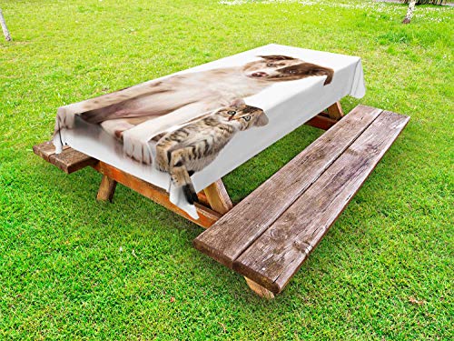 ABAKUHAUS Cane e Gatto Tovaglia da Esterno, Cucciolo di Border Collie, Tovaglia da Picnic Lavabile Decorativa, 145 cm x 305 cm, Brown Ecru