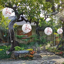 ARTFFEL Vola 5pcs Carta appesi Plum Blossom Lanterne Paralume della Lampada Festival di Primavera Decor for la Festa Nuziale di Compleanno di Capodanno (30cm) .Compleanno