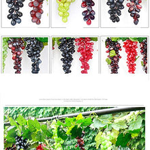 BIGBOBA. 24 Grano/personalità Simulazione Plastica Frutta UVA Stringa Decorazione,Verde Protezione Ambientale Decorazione Domestica in Rattan