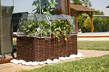 Catral Germania Città Giardino, Giardino d' Inverno di Kit Planter, Trasparente, 104 x 44 x 39 cm, 71080012