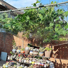 MAHFEI Telone Telo Copertura, con Protezione per Angoli Telo Impermeabile Esterno Copertura Vegetale in PVC Tenere Caldo Resistente al Freddo Tenda Divisoria Impermeabile per Patio Esterno