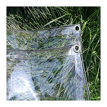 WFGGD Outdoor Trasparente incatramata 2x5m Impermeabile in PVC di plastica Tarp con Foro Serra Fissa la pianta del Fiore Foglio Covers Finestra Balcone Antipioggia, 400g / m² (Size : 2m×2m)