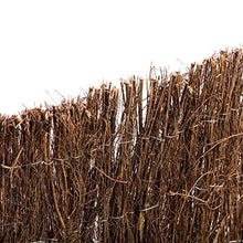 Erica Ecologica Extra