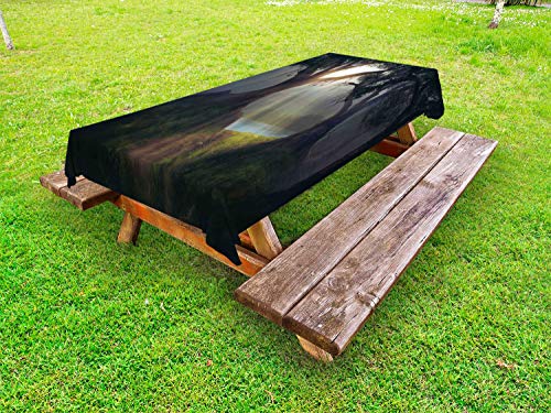 ABAKUHAUS Foresta oscura Tovaglia da Esterno, Fasci di Sun Percorso Woodland, Tovaglia da Picnic Lavabile Decorativa, 145 cm x 265 cm, Multicolore