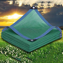 Senza marchio DANDAN Net Ombra Succulent Shade Net Crittografia Addensata per Esterni/Casa/Patio/Tetto Protezione Net Varie Specifiche Verde 8 Pin (Size : 3 * 8m)