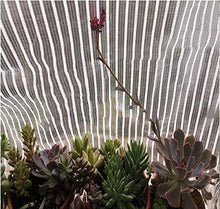 Tarps Protezione solare ombra netta alluminio netta isolamento netta foglio di finestra di sicurezza camera di sole finestra del balcone superiore davanzale giardino esterno tasso ombra esterna 75% Pu