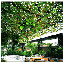 Yinuo - Rete mimetica per terrazza, balcone, pergola, gazebo, foresta, paesaggio, decorazione ignifuga, caccia 2 x 3 m, 10 m