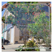 LXHONG Teloni in PVC per impieghi gravosi, teloni Trasparenti al 100%, Impermeabili alla Polvere per Tetto Campeggio All'aperto Posto Auto Coperto PVC, 54 Dimensioni (Color : Chiaro, Size : 3x4m)