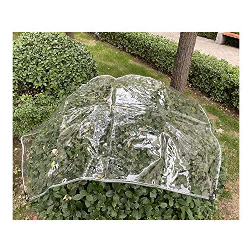 GDMING Trasparente Impermeabile Telone Occhielli E Corda Orlo, Robusto Protezione Solare PVC Telo per All'aperto Coperture Mobili da Giardino, Personalizzabile (Color : Chiaro, Size : 2x2m)