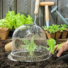 Emeili 6Pcs Coperture per Piante in Plastica, Mini Copertura per Piantagione a Temperatura Costante, Coperture per Piante a Campana Riutilizzabili per Giardino