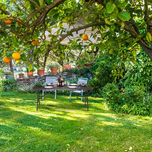 Relaxdays Tavolo Giardino, Aspetto Legno, Pieghevole, Plastica & Metallo, Esterni, Bistrò HLP: 73 x 180 x 74 cm, Marrone