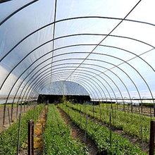 WZDD Telone Impermeabile Trasparente con Occhielli 2x8m, Resistente alle Intemperie Telo Pacciamatura, Copertura Antipioggia per Piante E Giardino