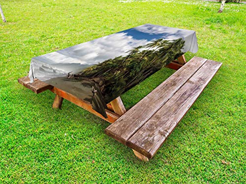 ABAKUHAUS America Centrale Tovaglia da Esterno, Cielo Nuvoloso Clima, Tovaglia da Picnic Lavabile Decorativa, 145 cm x 305 cm, Multicolore