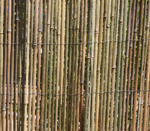 HaGa-Welt.de - Rete di bambù, protezione contro gli sguardi indiscreti, 3 x 1,5 m