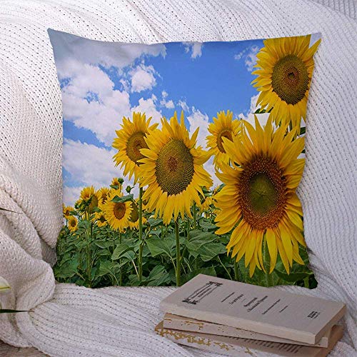 Cuscini Divano Federa Fiore Prato Fiore all'aperto Campo di girasole Luce solare blu Natura Fioritura Design Botanica Esterno Custodia morbida per cuscino Federa per Cuscino