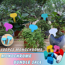 100 etichette per piante, in plastica a T, per piante, per giardino, esterni, interni, erbe, fiori, verdure, ideale per identificare le piante (verde menta)