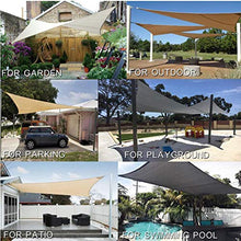 TRITTHOCKER 3 * 3, Tenda a Vela, Impermeabile Panno dello Schermo di Oxford, Adatto per Esterno Cortile Cortile terrazza con Giardino di Sabbia baldacchino,Beige