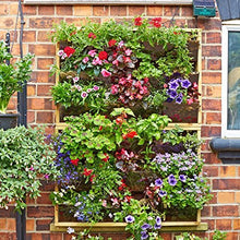 Irrigatia Vertical Picture Garden-2 Boxes, Wood