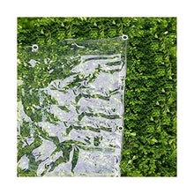 LXHONG Teloni Resistenti in PVC, Telone Trasparente Impermeabile con Occhielli ， Panno Ombra del Giardino per Coperture per Piante Terrazza, Personalizzabile (Color : Chiaro, Size : 2x3m)