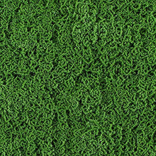 Catral Jardin Vertical Moss 100 x 100