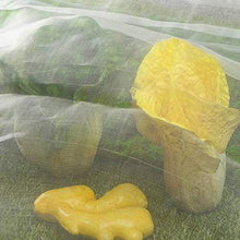 BYWWANG Reti per Insetti volatili Piante avicole Colture orticole Protezione Frutta Protezione Rete 2.1x10m
