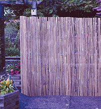 Kingfisher split Bamboo display H2 x L3 M