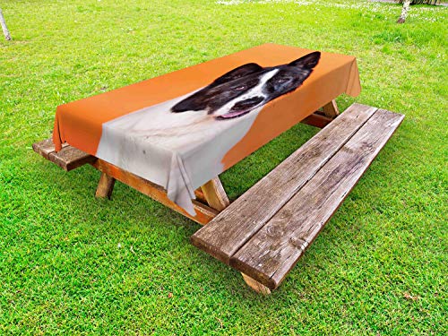 ABAKUHAUS Amante dei Cani Tovaglia da Esterno, Akita su Orange, Tovaglia da Picnic Lavabile Decorativa, 145 cm x 305 cm, Arancione Charcoal Grey
