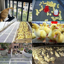 Rete per Recinzione In Plastica per Balcone,Reti di Seta di Pollo di Allevamento di Pollame Esagonale Pianta da Giardino E Reti Per La Protezione Delle Colture (Size : W3.3'*L39.4'(1 * 12m))