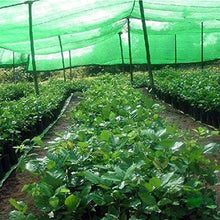 YJFENG Rete per L'inverdimento del Cantiere, per Il Terreno Cover Dust, Mesh HDPE Tagliabile Sunproof A Prova di Vento, per Giardino, Tenda da Sole per Piante, Impalcatura