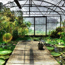 C-J-H Copertina Impermeabile Trasparente con Telo a Pioggia Pioggia con Occhielli, Serra da Giardino per Personalizzare la Tenda,5×6m