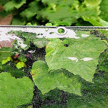 Serra Trasparente incatramata 2x6m esterna del patio del giardino incatramata, Heavy Duty impermeabile e resistente all'usura protezione solare della copertura della pioggia 350g / m² ( Size : 1m×2m )
