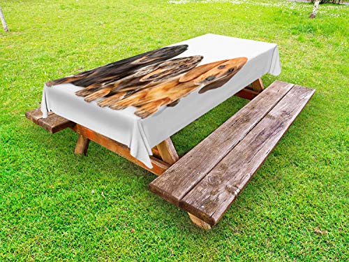 ABAKUHAUS Bassotto Tovaglia da Esterno, Colore differente Cani Lays, Tovaglia da Picnic Lavabile Decorativa, 145 cm x 305 cm, Scuro Taupe Grigio Talpa