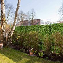 QFLY paravento da esternoSiepe Artificiale Foglie Schermo per la Privacy Scorri Cortile Piante Decorative Pannelli a Parete Schermo antifurto da Giardino