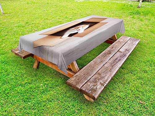 ABAKUHAUS Gattino Tovaglia da Esterno, Gatto in Una Scatola di Cartone, Tovaglia da Picnic Lavabile Decorativa, 145 cm x 210 cm, Taupe e Camel