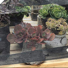 WXQIANG Rettangolo Parasole Panno Canopy Tenda da Sole, Il 95% UV Blocco, Water & permeabile all'Aria, Commerciale e residenziale, for Patio Yard Pergola Protezione Solare, Isolamento Termico