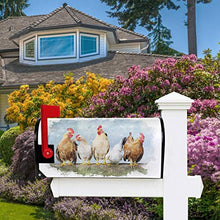 Pollo e Galli Acquerello Fattoria Animale Casella Postale Coperture Magnetiche Giardino Cantiere Decorazione Casa Dimensioni Standard 53,3 cm x 45,7 cm