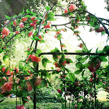 Outour®, gazebo a 4 lati a forma di gabbia per uccelli; traliccio ad arco in ferro battuto; gazebo, supporto per piante, viti e fiori