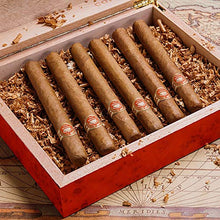 DJR Umidificatore per sigari Humidor, Legno di Cedro Segatura di Legno Rovere Strisce Riserva Legno di Cedro di Legno 50g