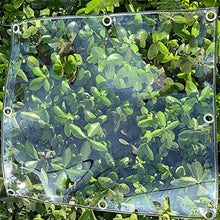 LXHONG Teloni Pieghevoli，Teloni Resistenti in PVC, Shade Garden Net per Coperture per Piante Piscina 450 Gr，Personalizzabile (Color : Chiaro, Size : 2x4m)