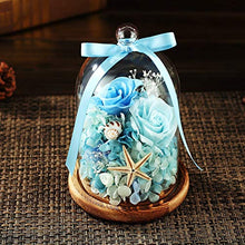 QYMX Eternal Flower ， Real Rose in Glass Conservato Eternal Flower Valentine Speciale Regalo Romantico Festa di Compleanno Decorazione Domestica