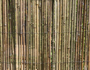 HaGa-Welt.de - Frangivento/frangivista in bambù, dimensioni: 5 x 1,5 m