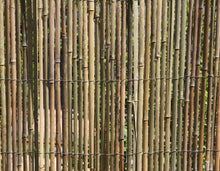 HaGa-Welt.de - Rete di bambù, protezione contro gli sguardi indiscreti, 3 x 1,5 m