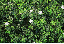 TTIK Siepe Sintetica Sempreverde DIY Decorazioni Giardino Protezione della Privacy per Esterni per Balcone Giardino Recinto Matrimonio 50×50CM