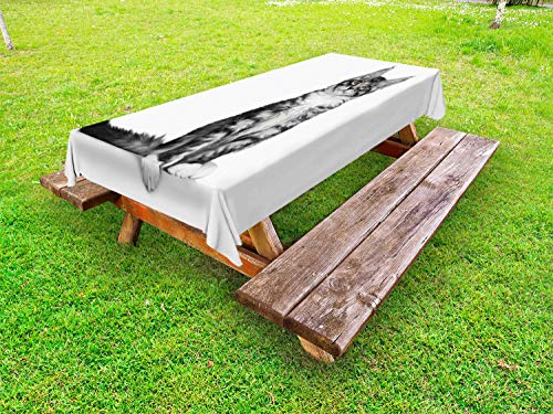 ABAKUHAUS Gattino Tovaglia da Esterno, Singolo Cat Guardando Fisso, Tovaglia da Picnic Lavabile Decorativa, 145 cm x 210 cm, Charcoal Grigio Chiaro Taupe
