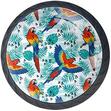 Bella pappagallo riposa Fly Tropical Palm Pomelli per Porta Set di 4 Pomelli per Mobili Manopole per Cassetti Cucina Armadio Vetro