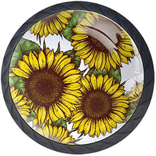 Modello di girasole giallo bianco Pomelli per Porta Set di 4 Pomelli per Mobili Manopole per Cassetti Cucina Armadio Vetro