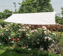 Rete ombreggiante Pesante 85% Sunblock Bianco 6-Pin Panno dello Schermo, Coperture per Piante Succulente Rete di Ombreggiatura (Dimensioni : 2x5M)