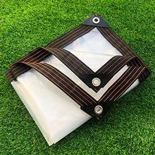 BGSFF Tettoia per Piante Telo Parasole Pieghevole Telo telone Impermeabile Balcone Tenda Parasole Rete Trasparente Telo Antipioggia Protezione Solare Telo per Campeggio Esterno Giardinaggio 4X4